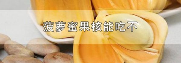 菠萝蜜果核能吃不