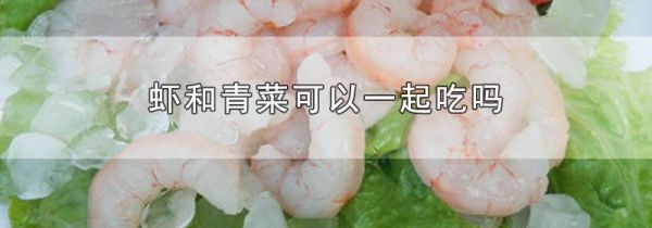 虾和青菜可以一起吃吗