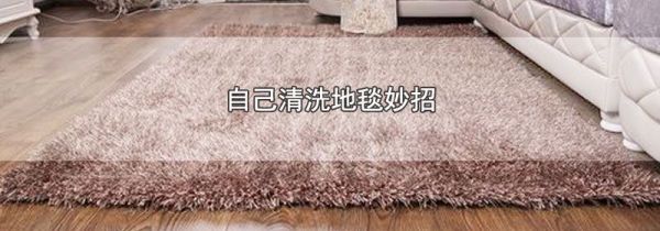自己清洗地毯妙招