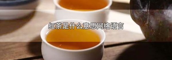 红茶是什么意思网络语言