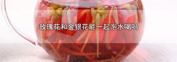 玫瑰花和金银花能一起泡水喝吗