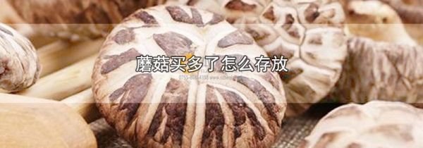 蘑菇买多了怎么存放
