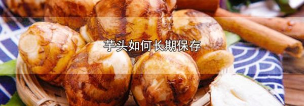 芋头如何长期保存
