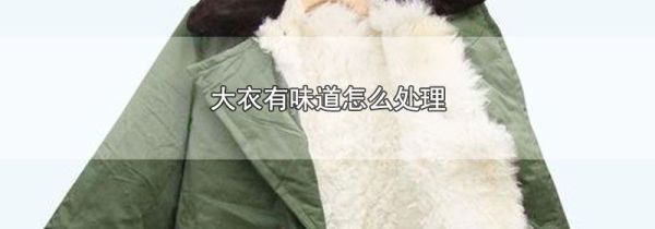 大衣有味道怎么处理