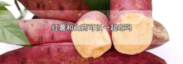 红薯和山药可以一起吃吗