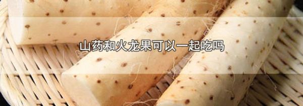 山药和火龙果可以一起吃吗
