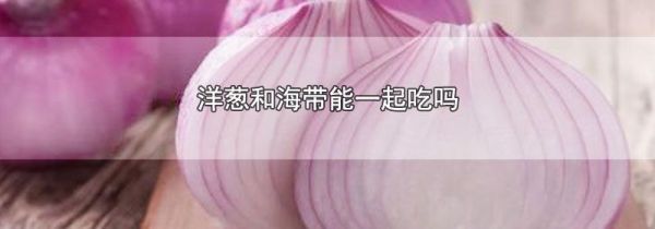 洋葱和海带能一起吃吗