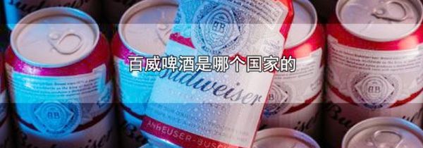 百威啤酒是哪个国家的