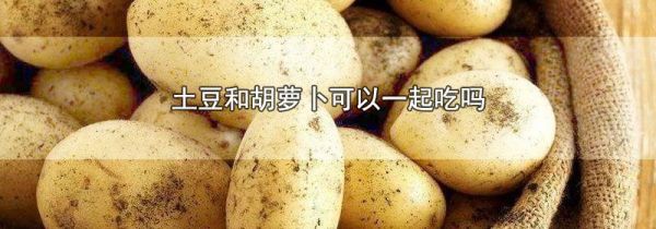 土豆和胡萝卜可以一起吃吗