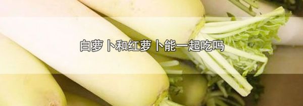 白萝卜和红萝卜能一起吃吗