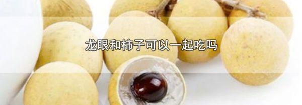 龙眼和柿子可以一起吃吗