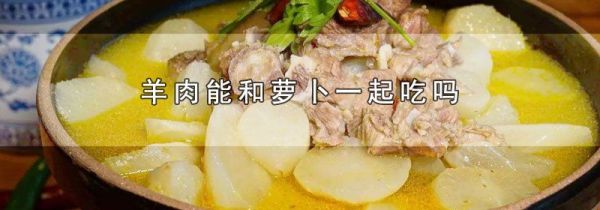 羊肉能和萝卜一起吃吗