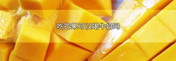 吃芒果可以喝牛奶吗