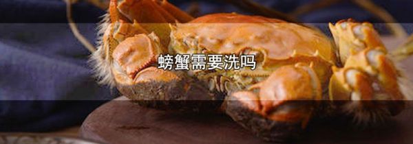 螃蟹需要洗吗