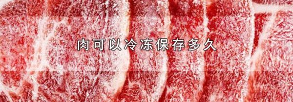 肉可以冷冻保存多久
