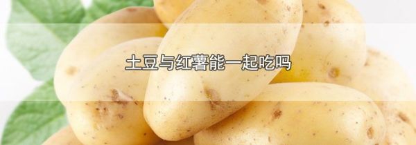 土豆与红薯能一起吃吗