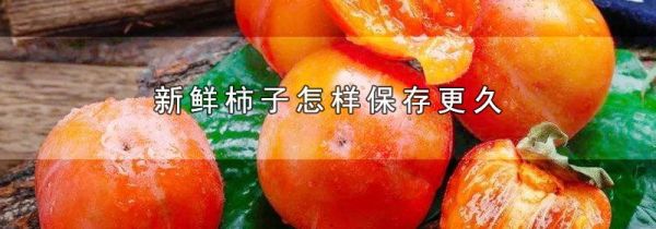 新鲜柿子怎样保存更久