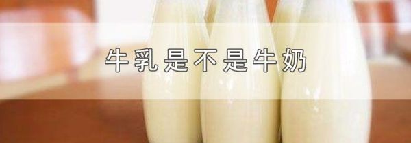 牛乳是不是牛奶
