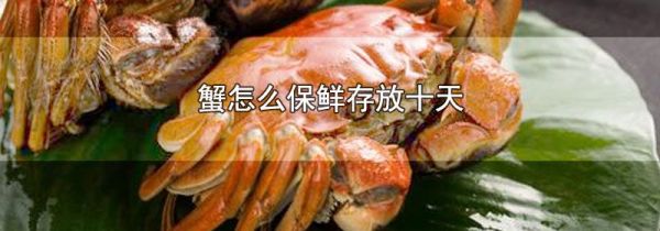 蟹怎么保鲜存放十天