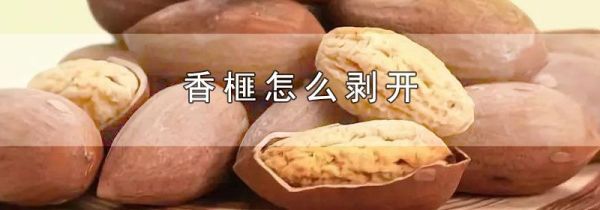 香榧怎么剥开