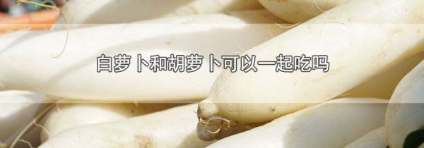白萝卜和胡萝卜可以一起吃吗