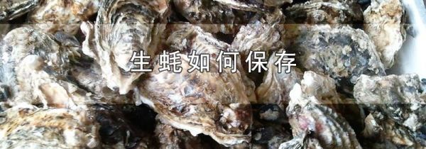 生蚝如何保存
