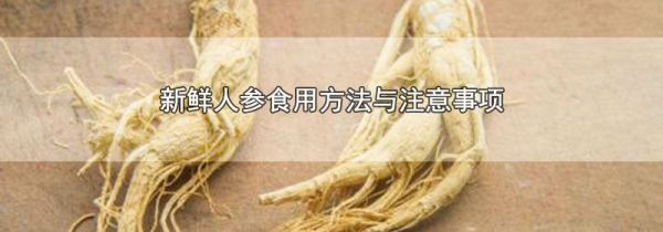 新鲜人参食用方法与注意事项