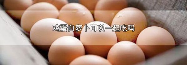 鸡蛋白萝卜可以一起吃吗