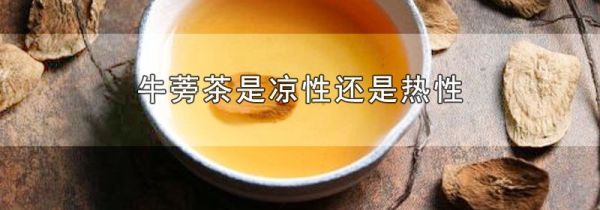 牛蒡茶是凉性还是热性