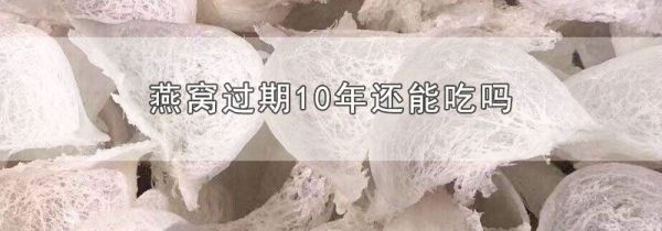 燕窝过期10年还能吃吗