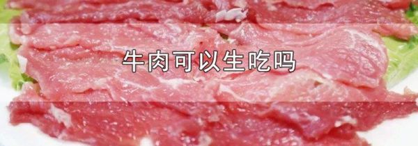 牛肉可以生吃吗