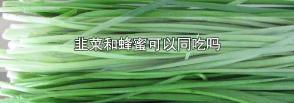 韭菜和蜂蜜可以同吃吗