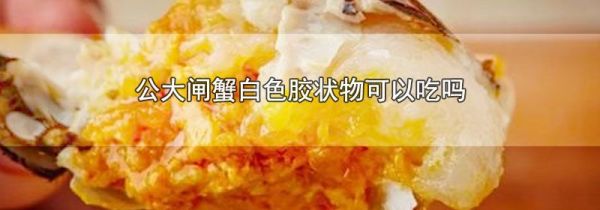 公大闸蟹白色胶状物可以吃吗