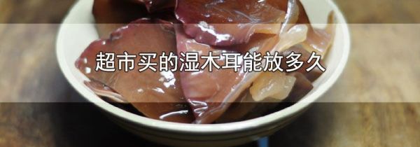 超市买的湿木耳能放多久