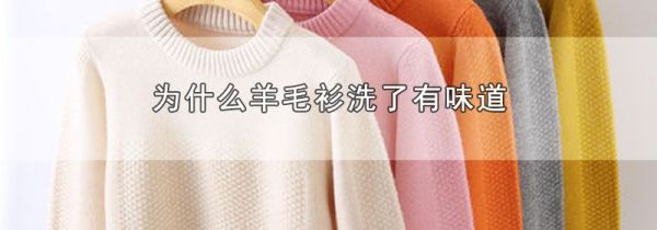 为什么羊毛衫洗了有味道