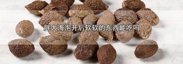 胖大海泡开后软软的东西能吃吗