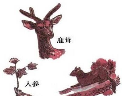 东北三宝是指哪三宝?