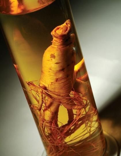 东北三宝是指哪三宝?