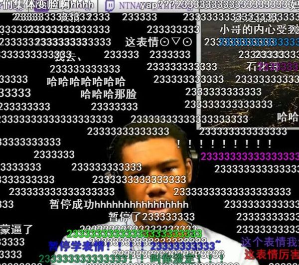 233333是什么意思？