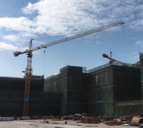 四不伤害是指什么？