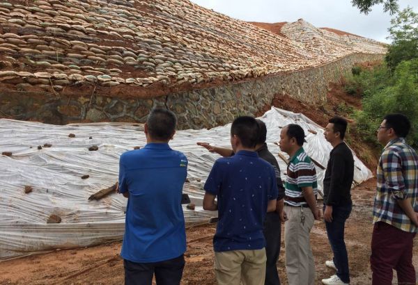 四不伤害是指什么？