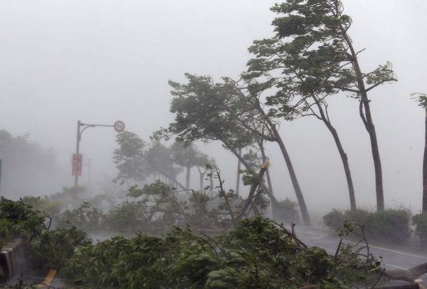 台风蓝色预警是几级？