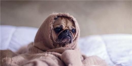 请假理由大全，靠谱实用的请假理由