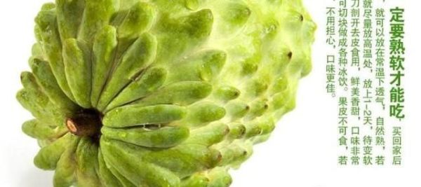 释迦水果（凤梨）的常识有哪些