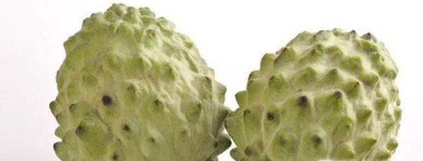 释迦水果（凤梨）的常识有哪些