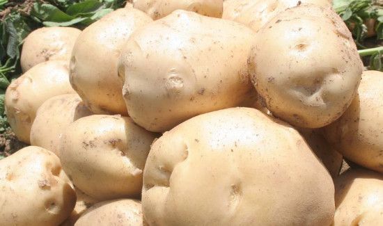 土豆和绿豆汤能一起吃吗