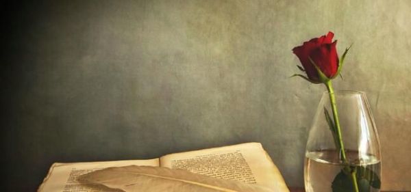 光棍节脱单秘籍，光棍节表白攻略