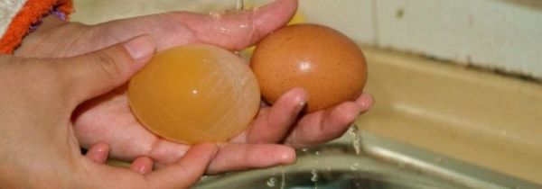 醋和鸡蛋能一起吃吗