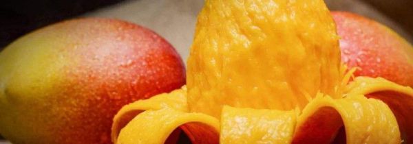 芒果哈密瓜可以一起吃吗