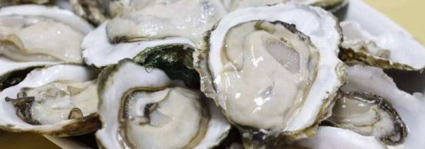 买了一箱生蚝怎么保存